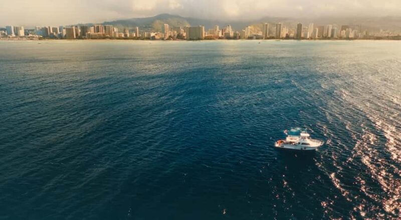 West Shore Oahu Shallow Reef Scuba Dive for Certified Divers - Practical Details and Value