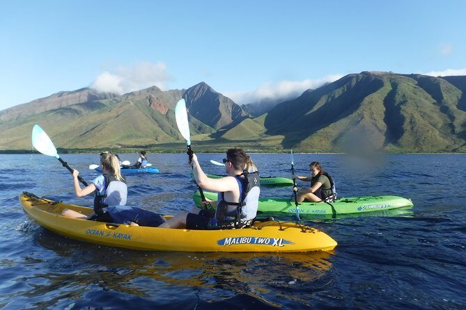 West Side Discovery Kayak & Snorkel Tour - Key Points