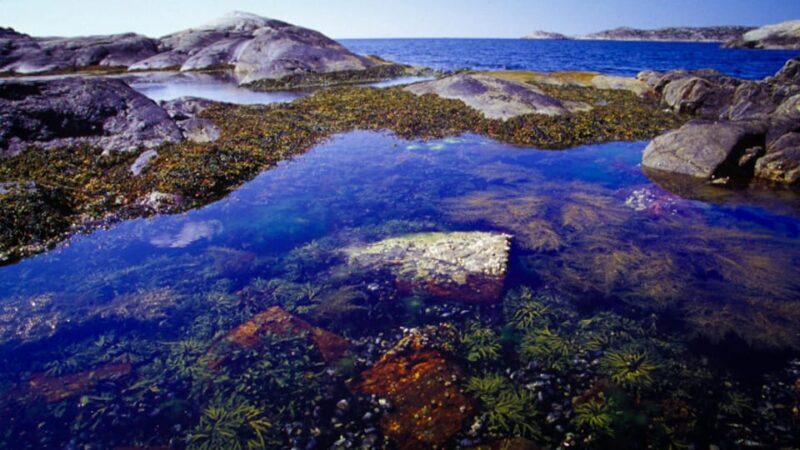 West Sweden: Self Guided Kayak Tour - Southern Route - Key Points