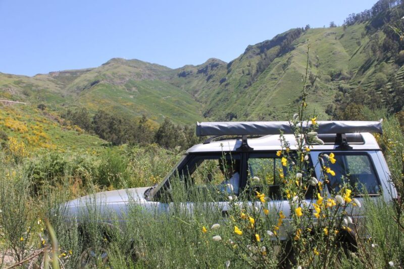 West Tour Full day 4x4 Jipe Tour Natural Swimming Pools - The Transportation and Comfort