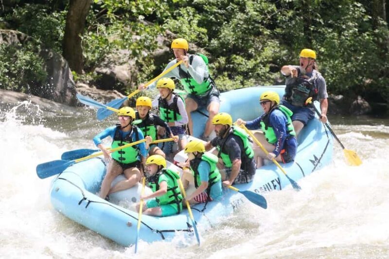 West Virginia: Lower Gauley Full-Day Whitewater Trip - Who Should Consider This Tour?