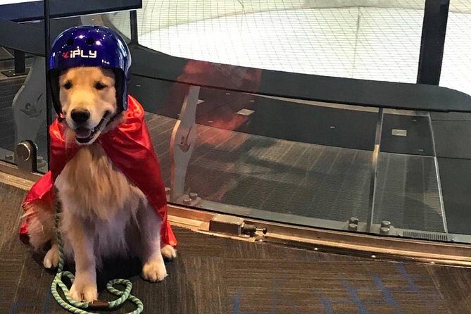 Westchester Indoor Skydiving Admission with 2 Flights & Personalized Certificate - FAQs