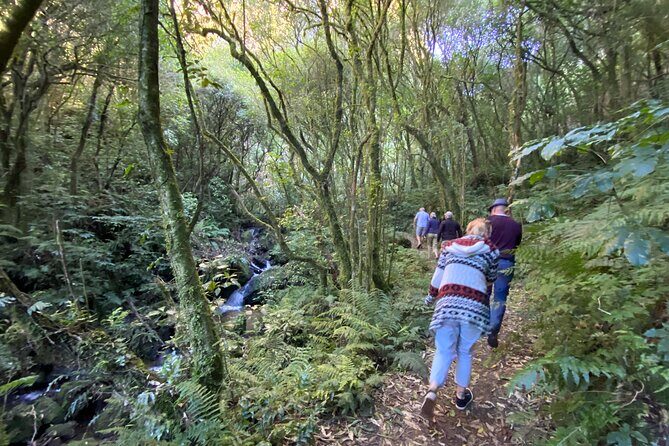 Western Bays Sightseeing Tour from Kinloch Lake Taupo - An In-Depth Look at the Western Bays Sightseeing Tour