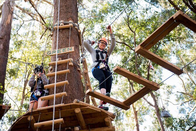 Western Sydney Tree Ropes Course - Final Thoughts