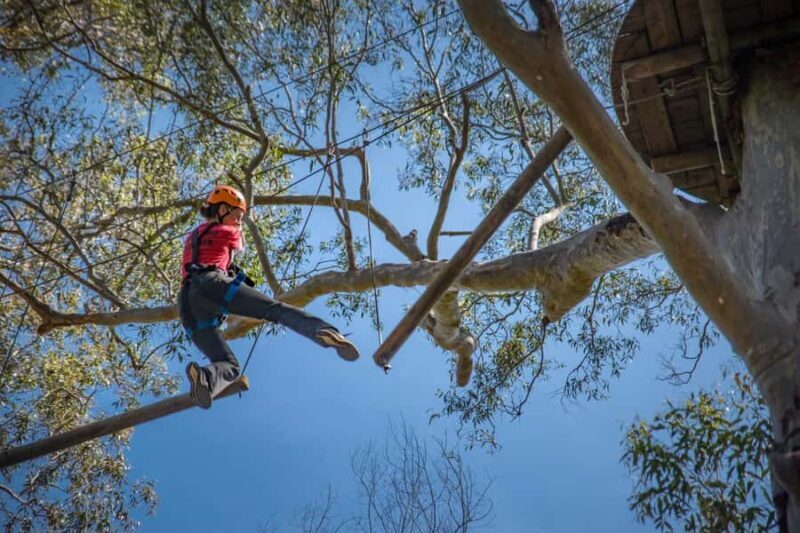 Western Sydney: Tree Ropes Courses - Key Points
