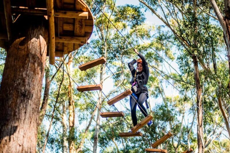 Western Sydney: Tree Ropes Courses - The Courses in Detail
