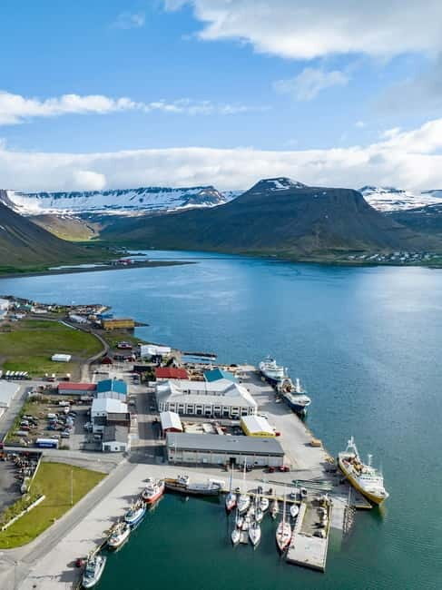 Westfjords Express Half-Day Tour from Ísafjörður - Why This Tour Offers Great Value