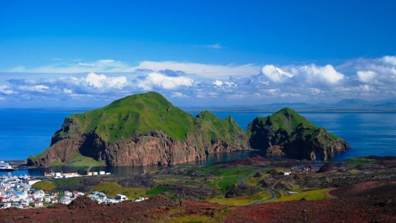 Westman Islands Day Tour from Reykjavik - Key Points