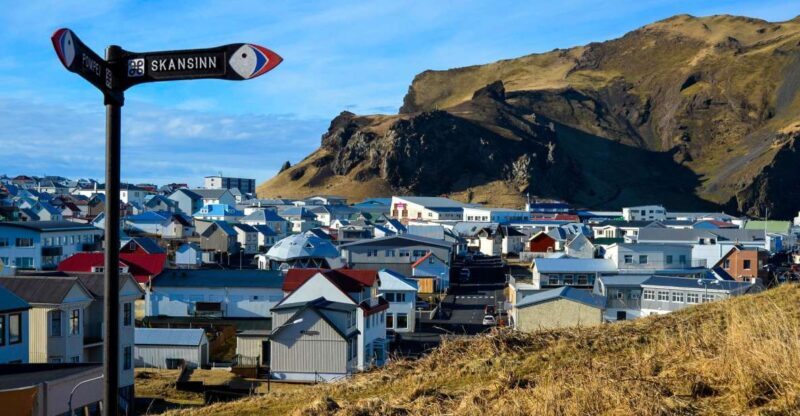 Westman Islands Day Tour from Reykjavik - An In-Depth Look at the Westman Islands Tour