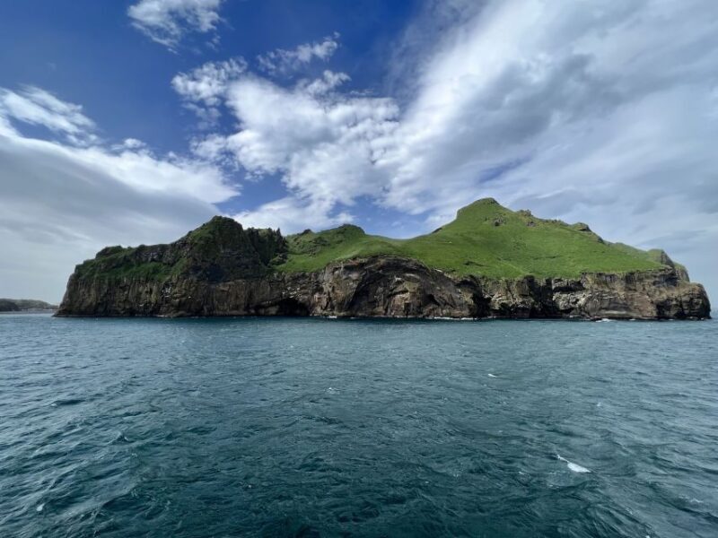 Westman islands Private tour - Starting in Reykjavik: Convenience and Comfort