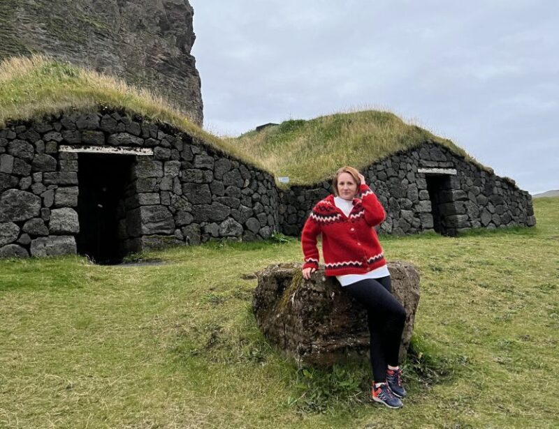 Westman islands Private tour - The Experience: Pros and Cons