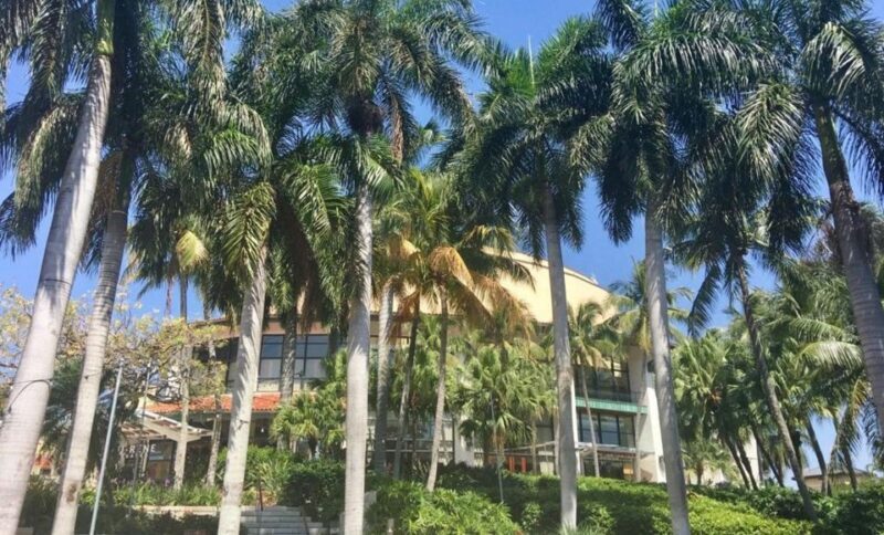 Wet & Dry Fort Lauderdale - Discovering Fort Lauderdale: A Land and Sea Adventure