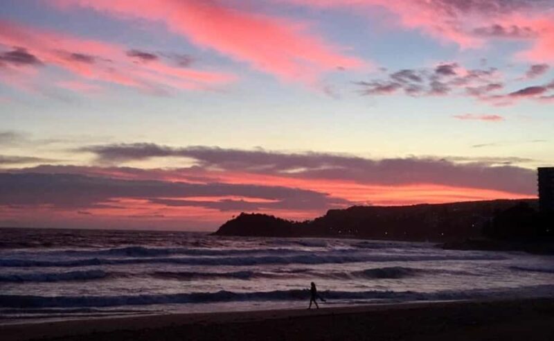Wet & Dry Manly from Sydney - Exploring Manly: A Perfect Blend of City and Beach