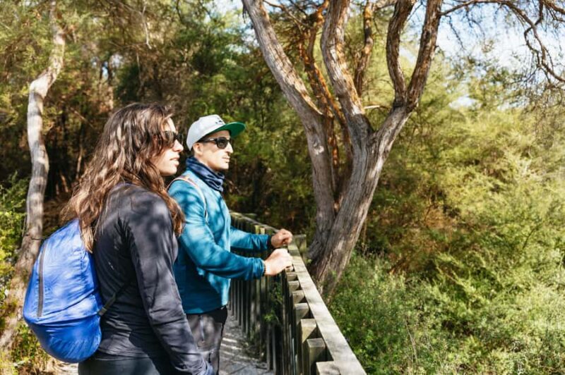 Whakarewarewa: Self-Guided Geothermal Trails - Key Points