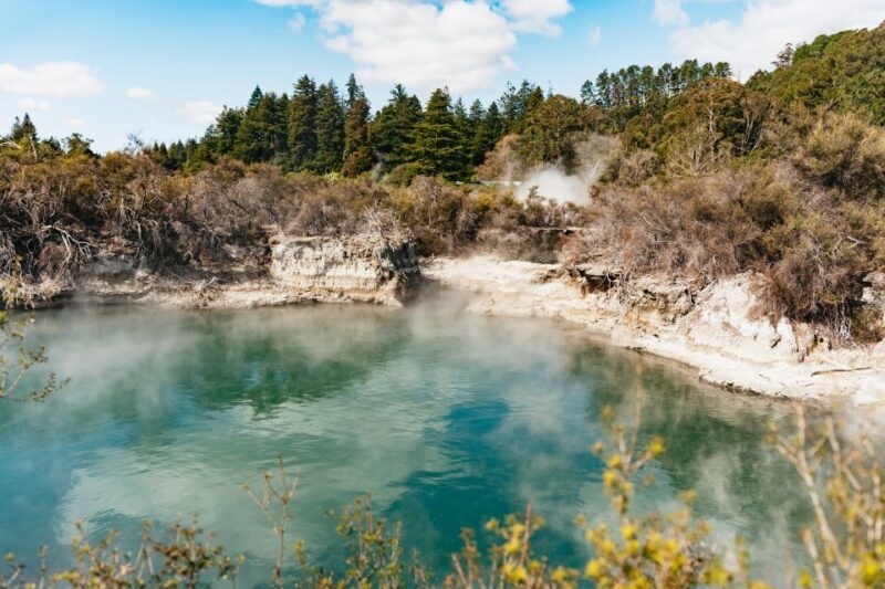 Whakarewarewa: Self-Guided Geothermal Trails - Comparing Costs and Value