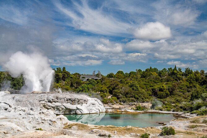 Whakarewarewa Village Guided Tour - Who Will Love This Tour?
