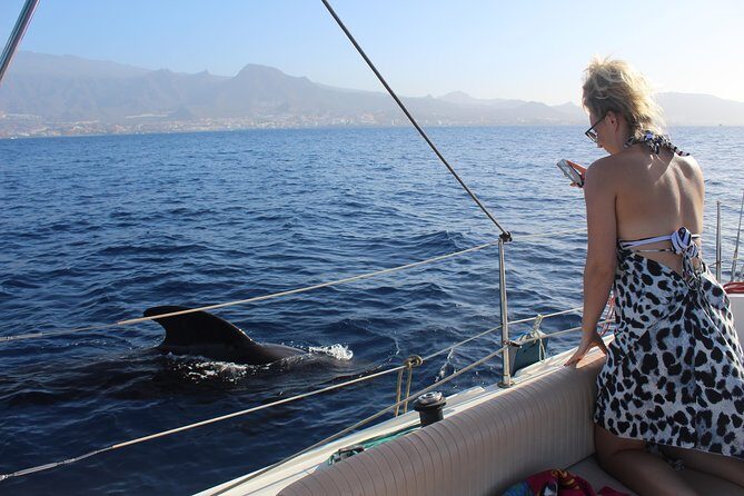 Whale and Dolphin Small Group Sailing from Tenerife South - An In-Depth Look at the Experience
