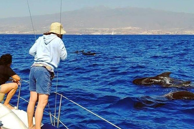 Whale and Dolphin Small Group Sailing from Tenerife South - The Sum Up