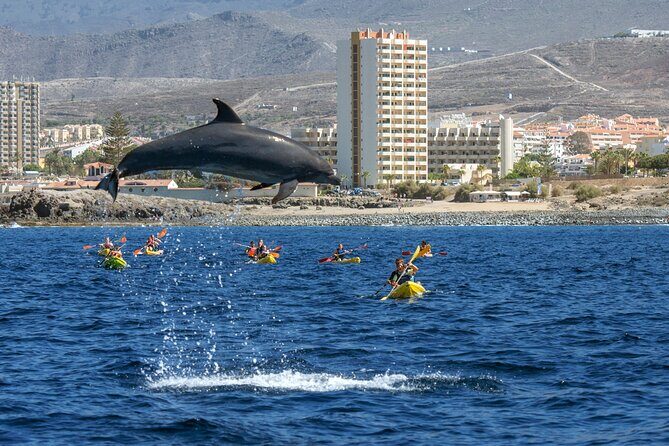 Whale and Dolphin Watching EcoAdventure in Tenerife - An In-Depth Look at the Tour Experience