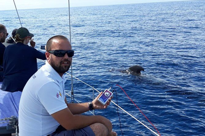 Whale and Dolphin Watching Sailing Boat with Drinks, Snacks and Swimming Time - Final Thoughts