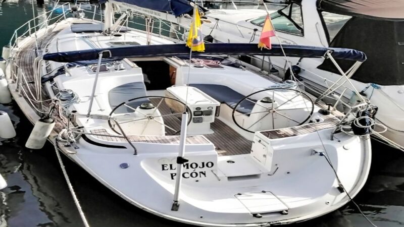 Whale and Dolphin Watching Sailing Tour  Los Gigantes (3H) - Who Is This Tour Best For?