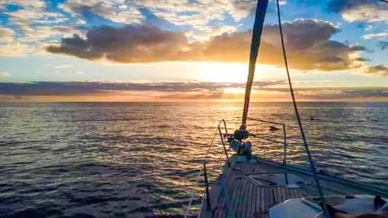 Whale and Dolphin Watching Sailing Tour  Los Gigantes (3H) - The Sum Up