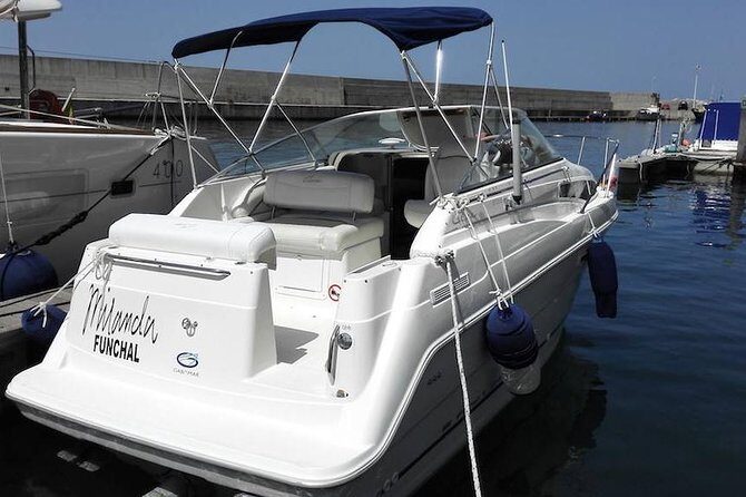 Whale and Dolphin Watching Tour in Madeira - FAQs