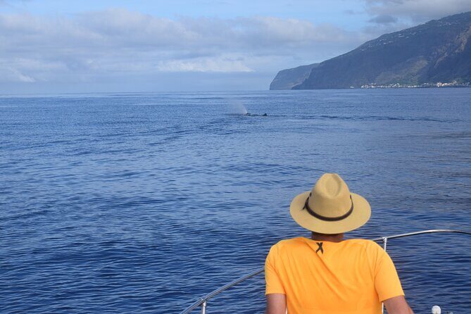 Whale and Dolphin Watching Tour in Madeira - Final Thoughts