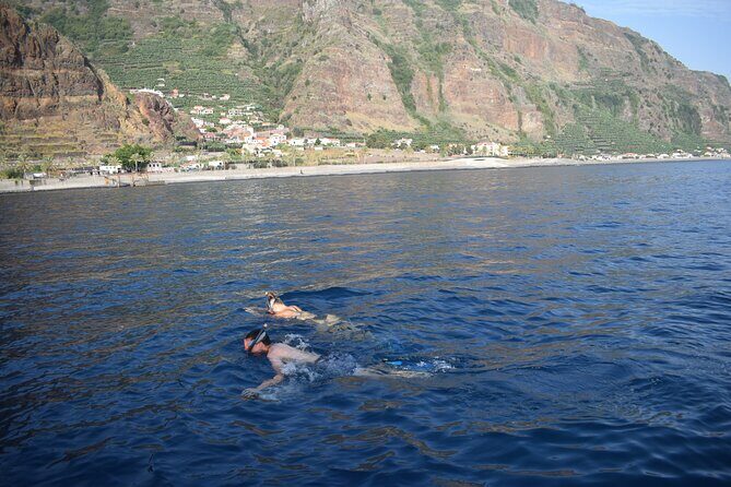 Whale and Dolphin Watching Tour in Madeira - Additional Notes