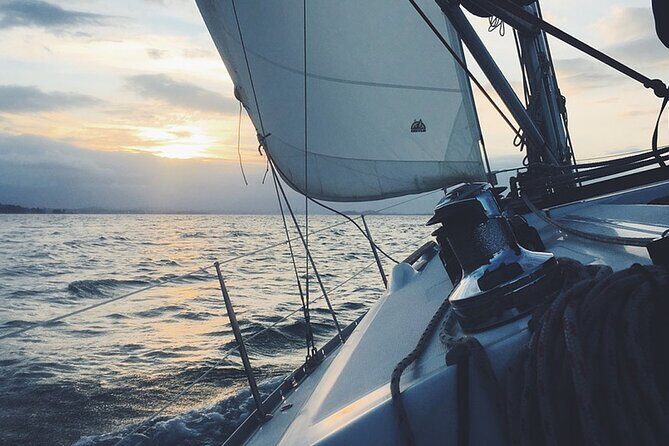 Whale & Dolphin Watching Boat Trip in Tenerife On a Sailing Boat (3 Hr) - The Realities Behind the Reviews