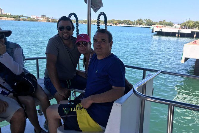 Whale & Dolphin Watching Cruise in Puerto Vallarta All Inclusive - Introduction: What to Expect from the Whale & Dolphin Watching Cruise