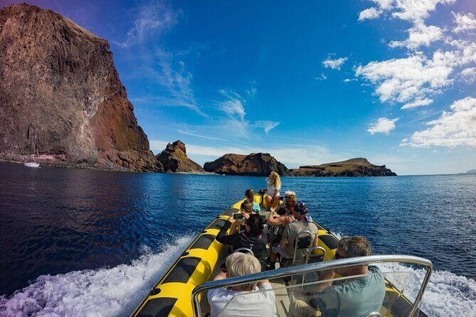 Whale & Dolphin Watching in Madeira - The Experience and Reviews: Authentic Feedback