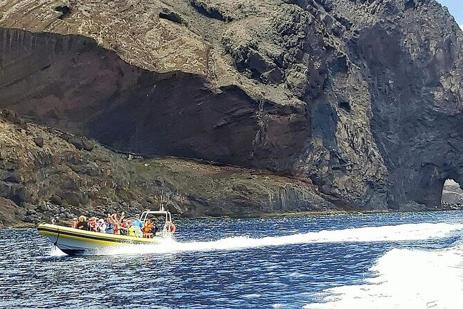 Whale & Dolphin Watching in Madeira - Practical Details: How to Prepare