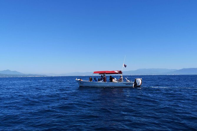 Whale Encounter Puerto Vallarta - FAQ: Your Common Questions Answered
