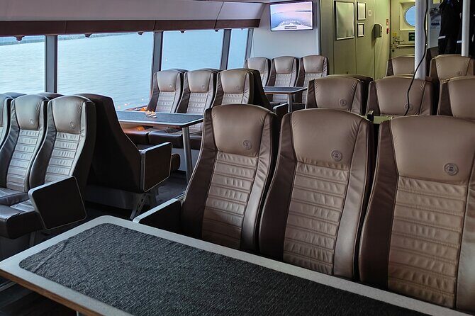 Whale Safari in Tromso - A Detailed Look at the Whale Safari Experience