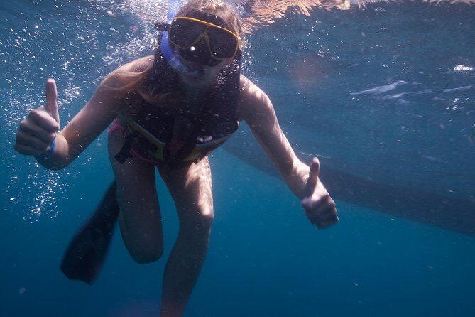 Whale Shark Adventure - What to Expect and Practical Tips