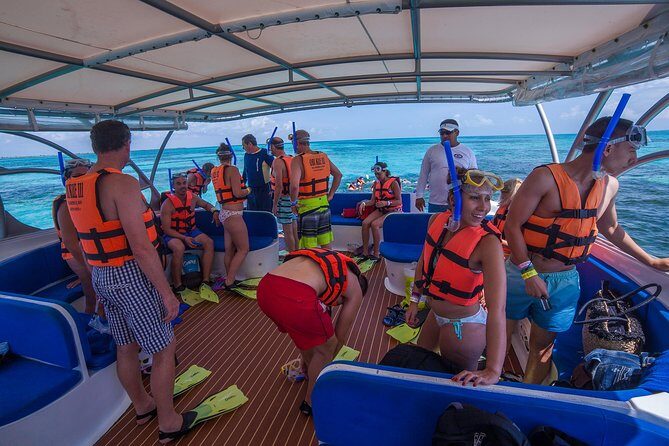 Whale Shark Adventure - Final Thoughts: Who Should Consider This Tour?