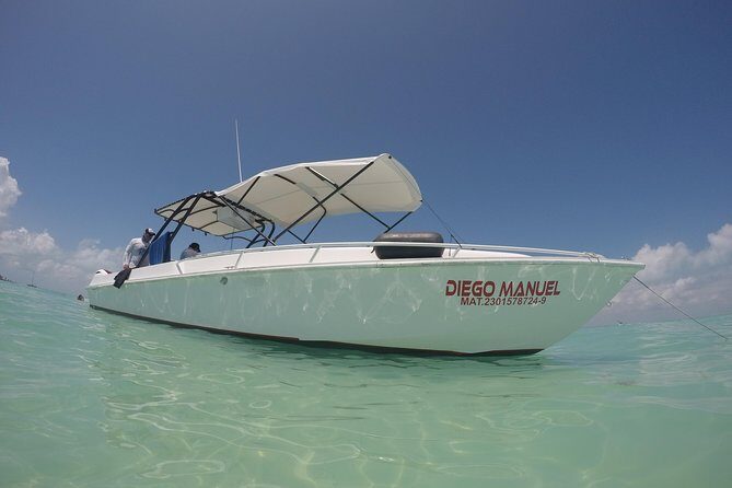 Whale shark encounter Private tour - swim with whale shark cancun - The Sum Up: Is This Tour Right for You?