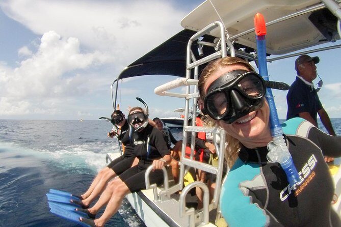 Whale shark encounter Private tour - swim with whale shark cancun - FAQ