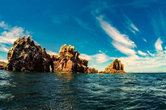 Whale Shark & Sea Lion Snorkeling Picnic at Espiritu Santo Island - FAQ