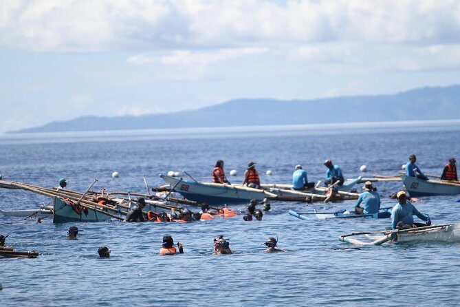 Whale Shark Swimming Experience and Aguinid Falls from Cebu - Key Points