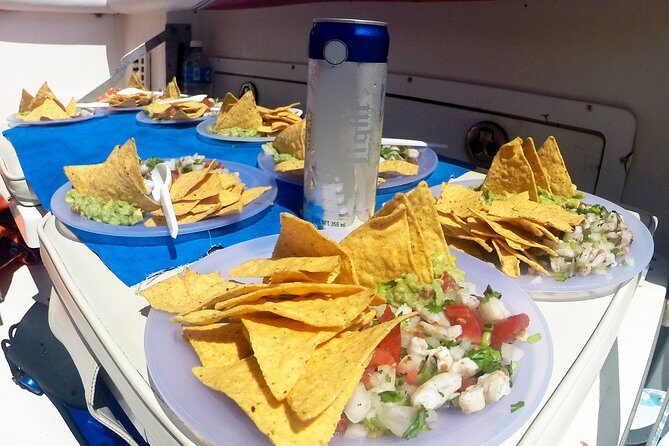 Whale Shark Tour from Cancun, Playa del Carmen, Tulum and Riviera Maya - FAQ: Practical Questions Answered