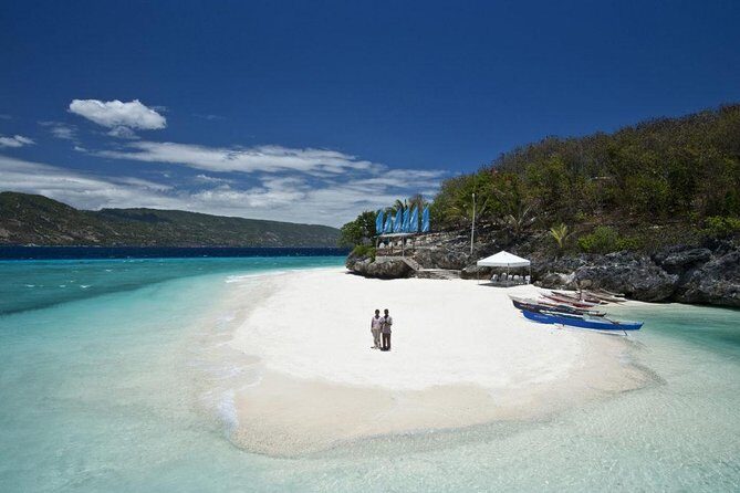 Whale Shark & Tumalog Falls & Sumilon Sandbar & Pescador Island with Sardines - What We Love About This Tour
