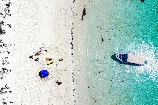 Whale sharks and sea lions snorkeling plus Balandra beach lunch - A Detailed Look at the Experience