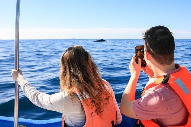 Whale Tour c/ Certified Guide, Photos & Hydrophone - Who Will Appreciate This Tour?