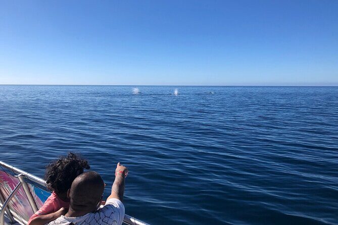 Whale Tour, Sail to Cabo San Lucas Arc + Food - Detailed Breakdown of the Experience