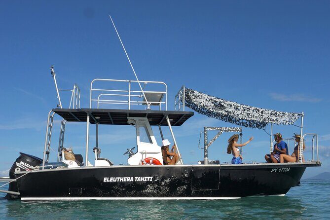 Whale Watching Activity - The Itinerary: What to Expect on This Whale Watching Tour