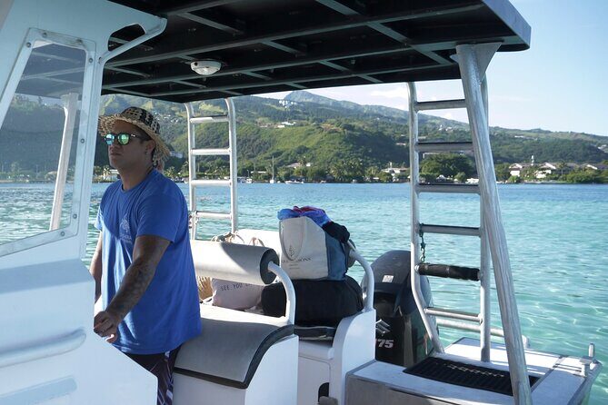 Whale Watching Activity - The Sum Up: Who Will Love This Whale Watching Tour?