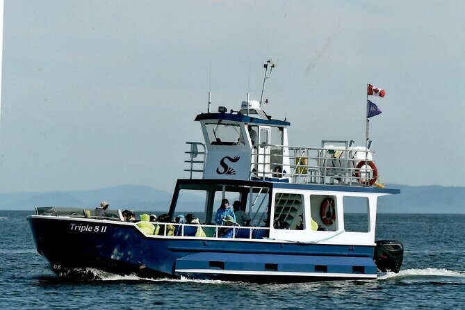 Whale Watching Adventure from Vancouver BC - FAQ