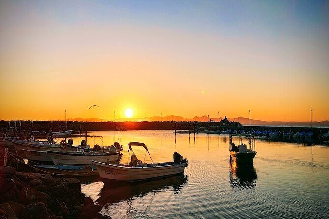 Whale Watching Adventure in Loretos Sea of Cortez - Frequently Asked Questions